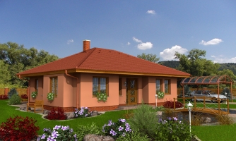 Belle maison à un étage avec toit à pans et espaces de vie et chambres à coucher séparés. La cuisine et le salon forment un seul grand espace.